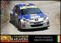 11 Peugeot 207 S2000 T.Riolo - M.Marin (19)